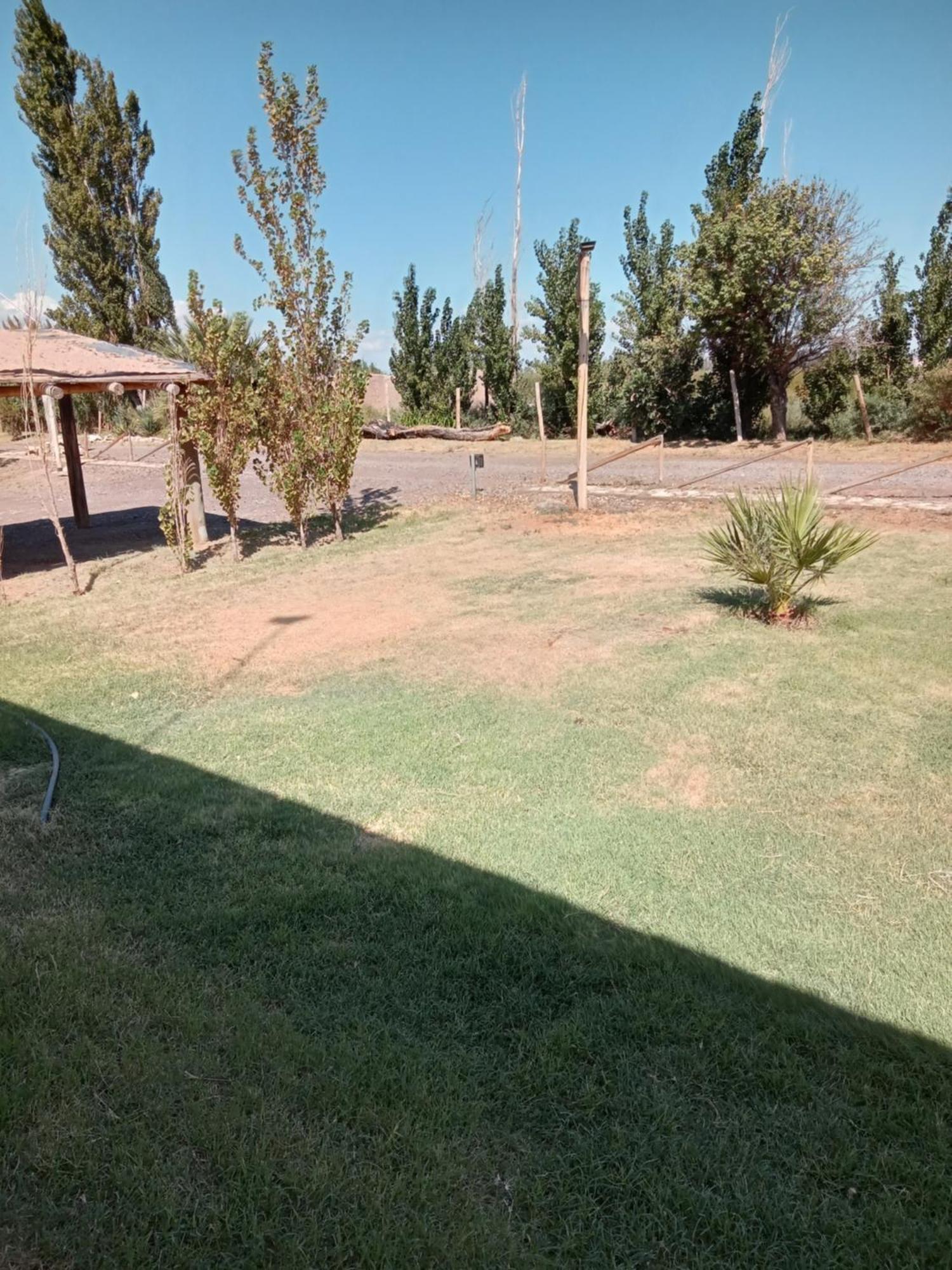 Cabanas De La Bodega Romano-Pin Albardón Exteriör bild