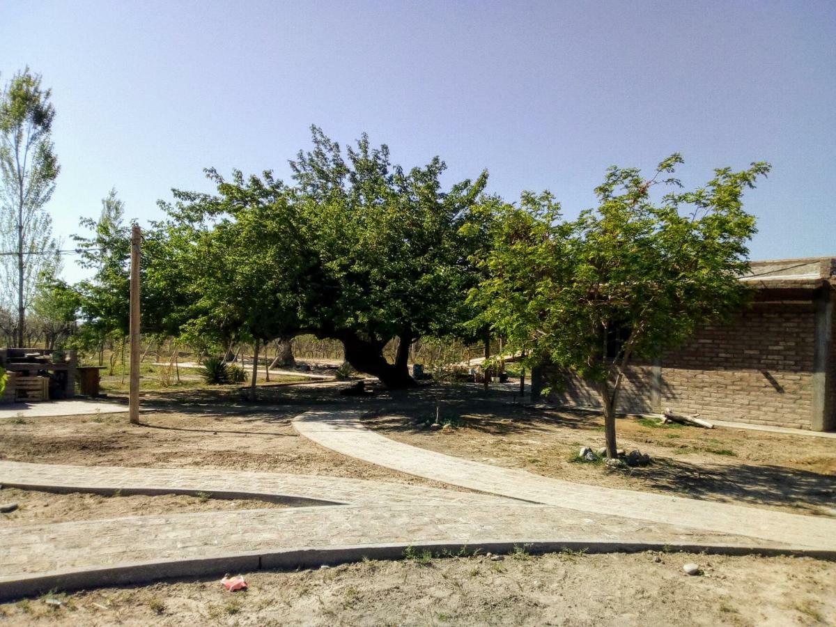 Cabanas De La Bodega Romano-Pin Albardón Exteriör bild